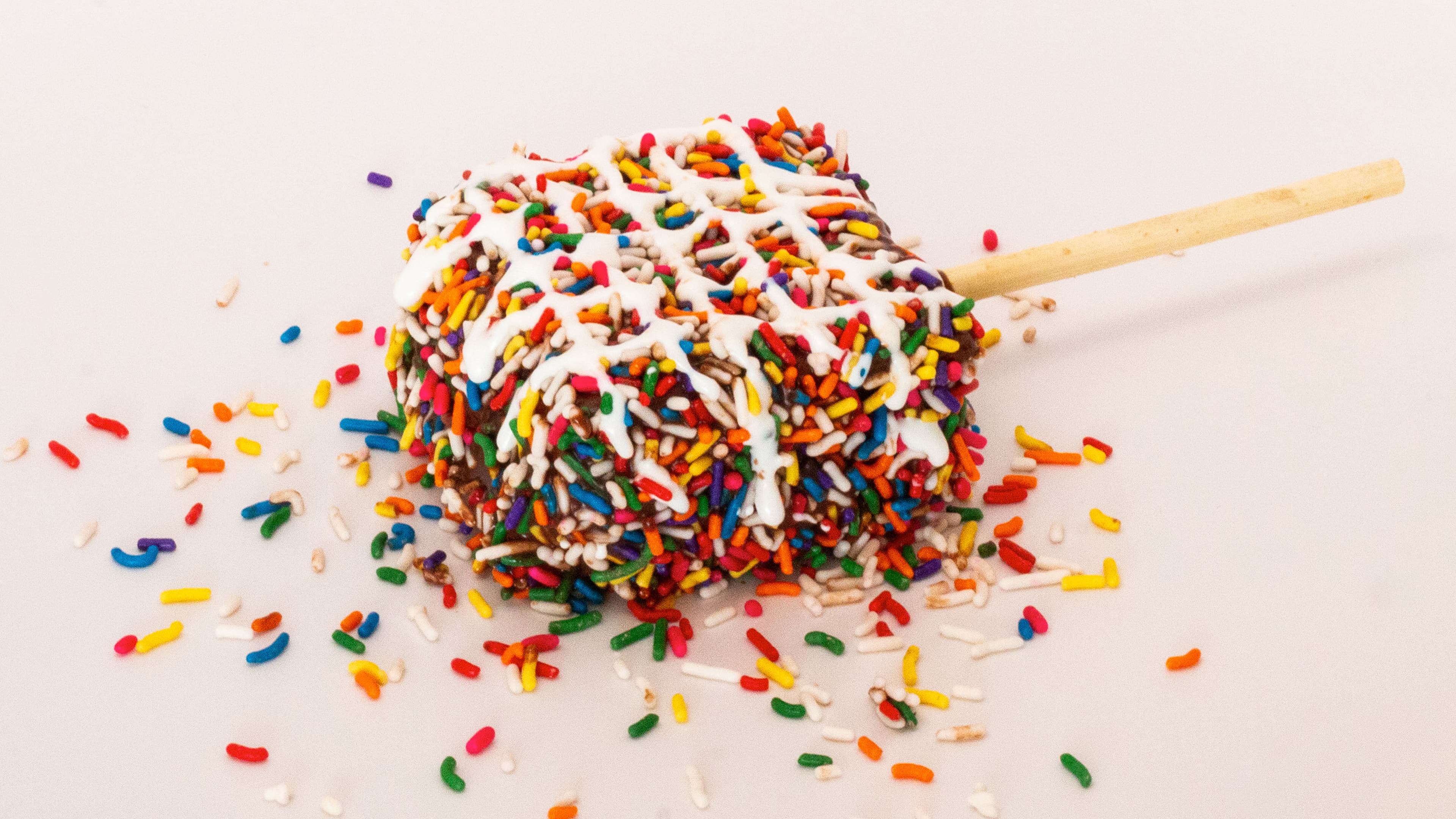 Ice Cream Sandwich